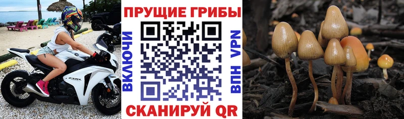 закладка  Уфа  Галлюциногенные грибы мухоморы 